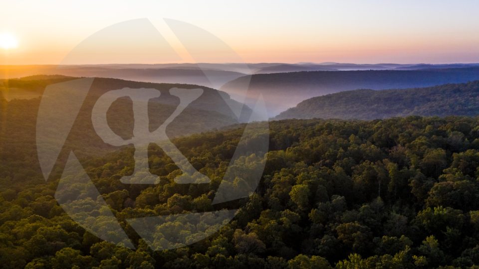 Aerial shot of forest treetops at sunset