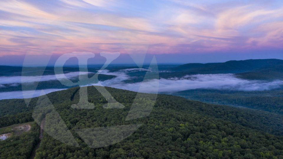 Aerial shot of forest treetops at sunset